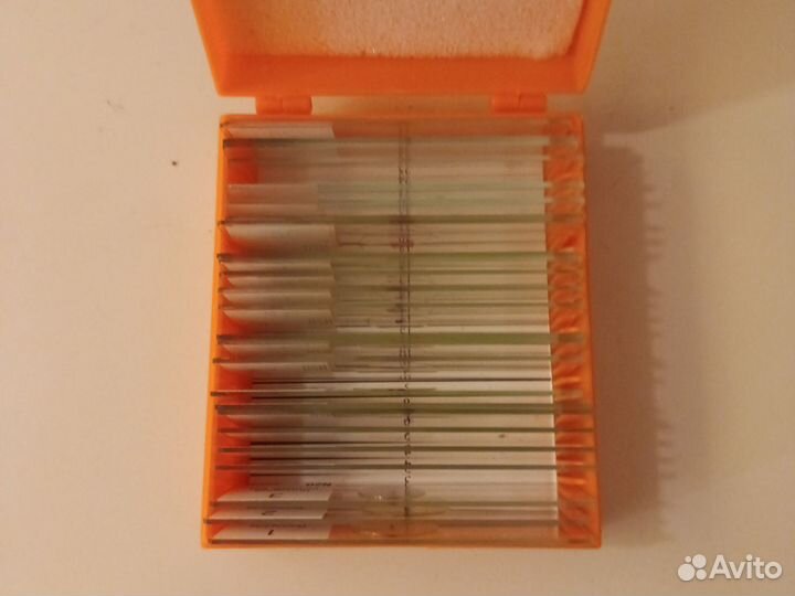 Levenhuk N20 20 готовых микропрепаратов