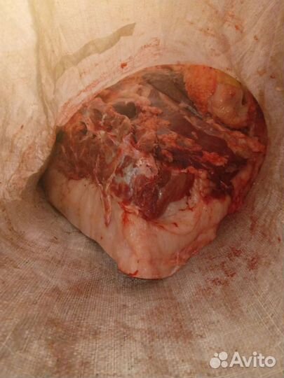 Мясо свинина