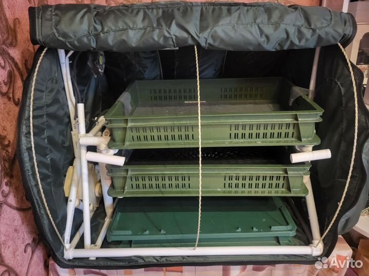 Инкубатор для яиц автоматический бу