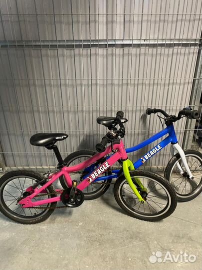 Детский велосипед beagle 116