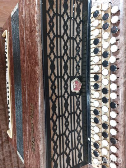 Баян Тула 202