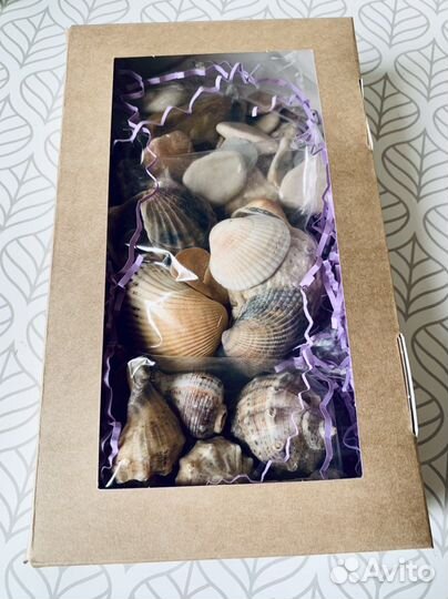 Подарочный набор морской дары моря ракушки