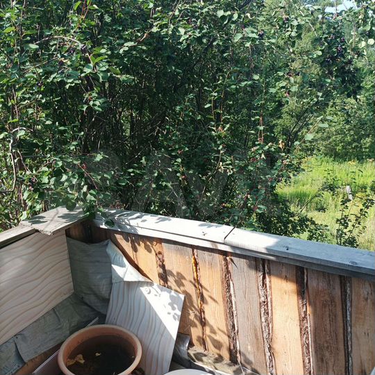 Дача 28 м² на участке 19 сот.