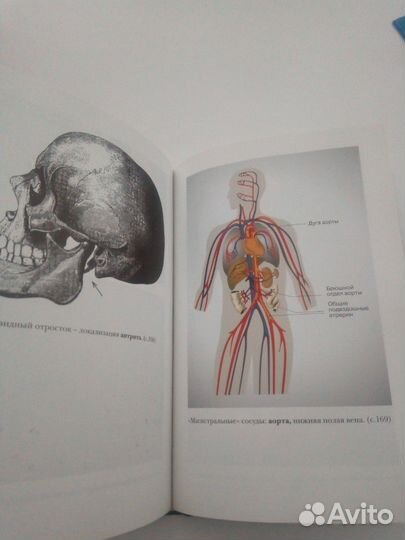 Медицинская энциклопедия