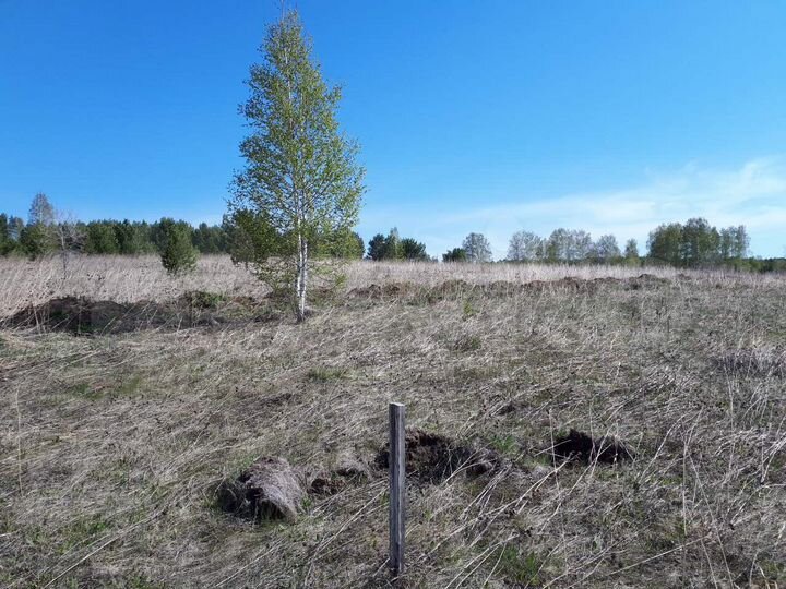 Участок 4 га (СНТ, ДНП)