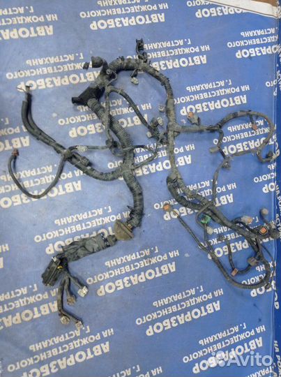 Проводка подкапотная Nissan Teana J32 седан VQ25DE