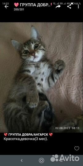 Крошки-малыши,мальчики и девочки(1,5-3мес)