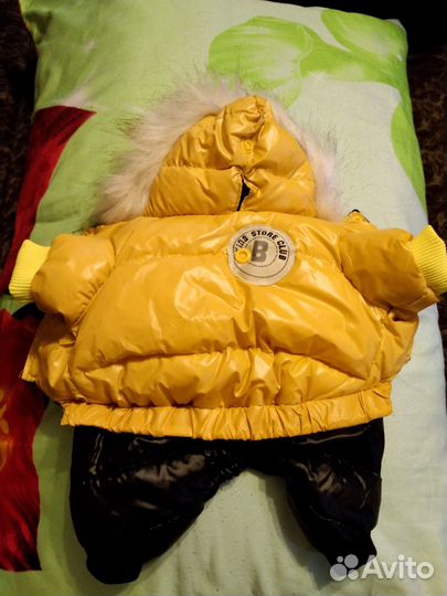 Одежда на маленькую собаку