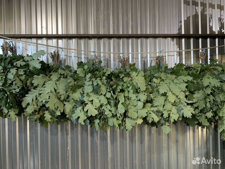 Веники дубовые