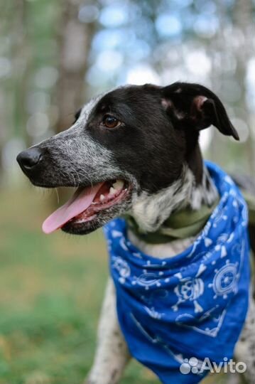 Малыш из приюта ищем дом