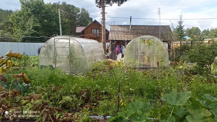 Дача 36 м² на участке 4,68 га