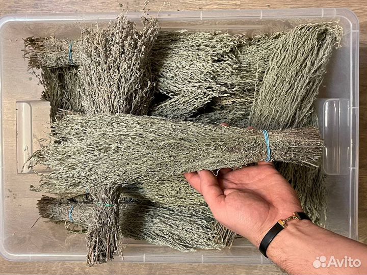 Полынь крымская таврическая серебристая пучки 2022