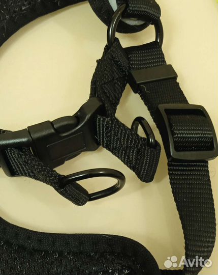 Шлейка для собак и кошек. Куртка клубная для собак