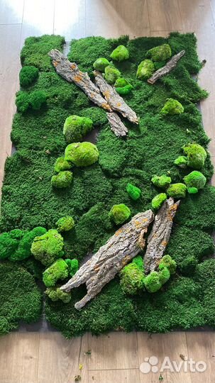 Вертикальное озеленение