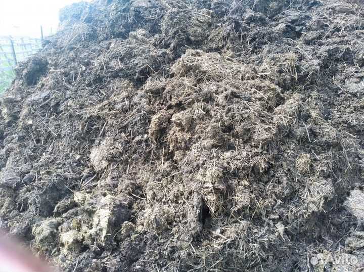 Перегной навоз