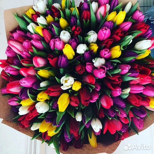 Тюльпаны к 8 марта розница