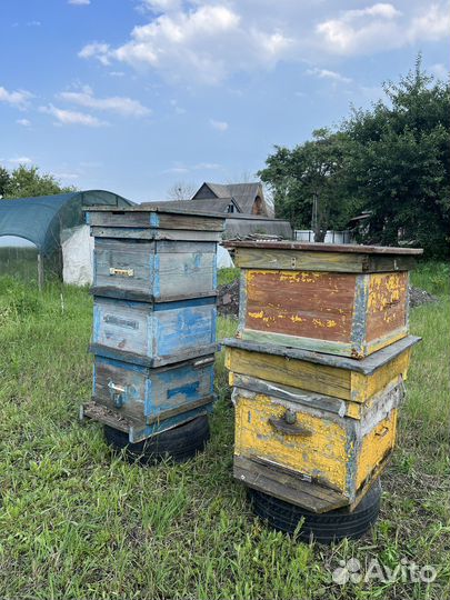 Ульи для пчел