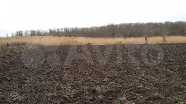 Участок 10 сот. (СНТ, ДНП)