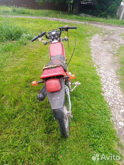 Зид пилот 50