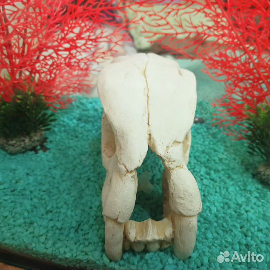 Украшения для аквариума