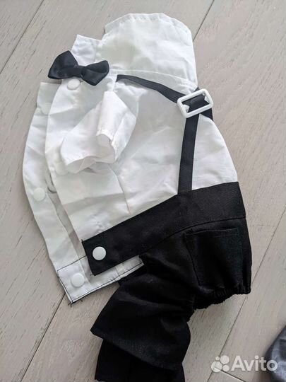 Костюм для собаки