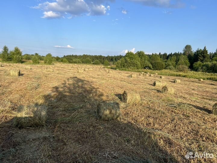 Сено в рулонах