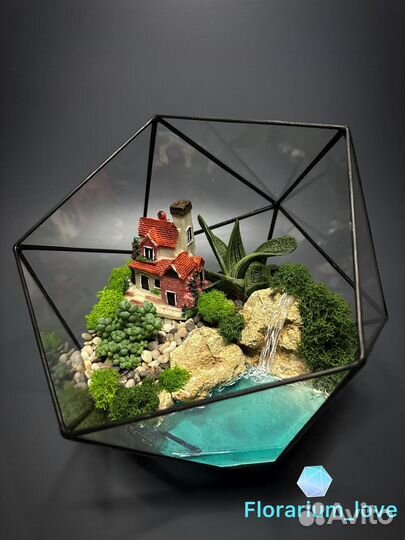 Флорариум подарок на 8 марта