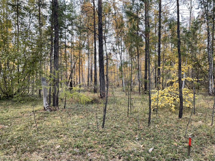 Участок 8,51 га (ИЖС)