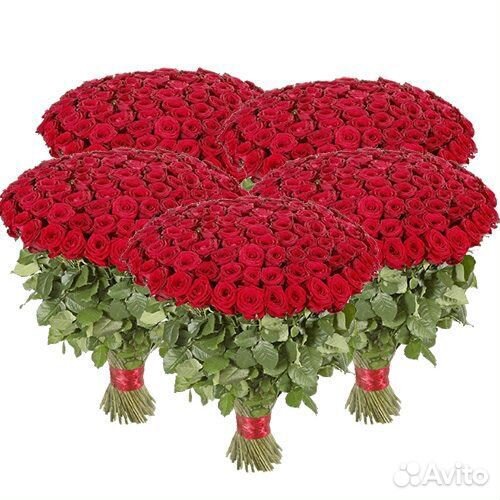 501 и 1001 роза