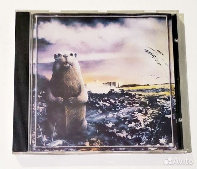 Оригинальные CD - русский рок, блюз