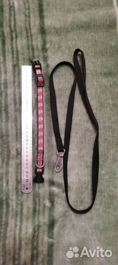 Ошейник с поводком