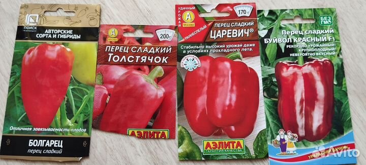 Рассада помидор и перцев