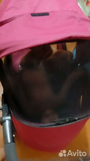 Прогулочная коляска peg perego book