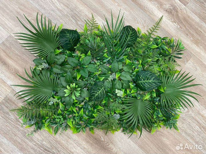 Фитокартины, фитостены, фитопотолки