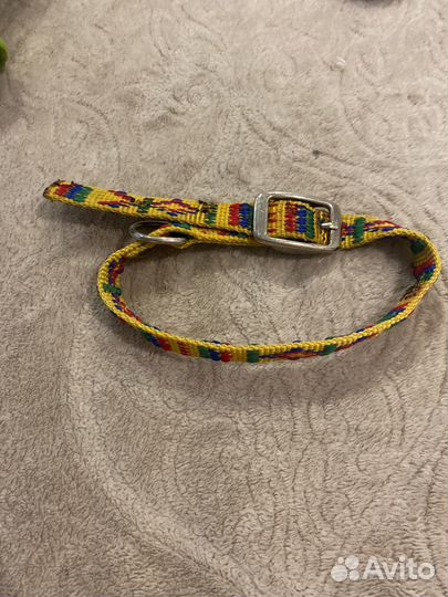 Одежда для животных