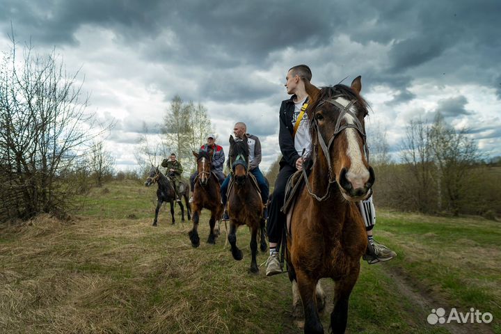 Услуги фотографа