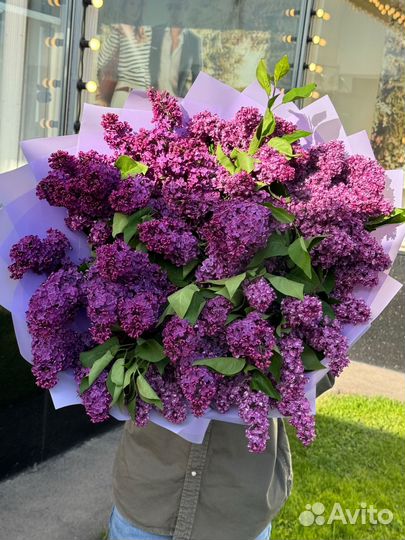 Букет из сирени
