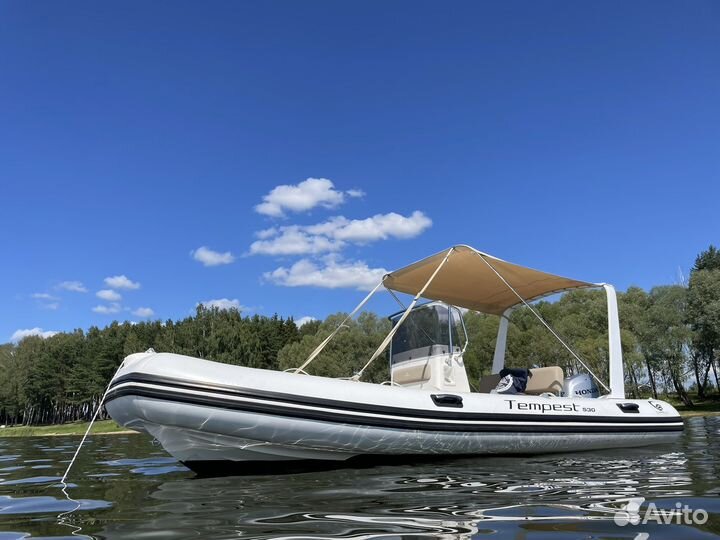 Риб Cantieri Capelli tempest 530