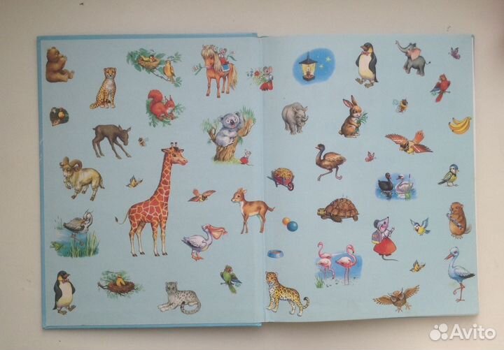 Зоопарк от А до Я