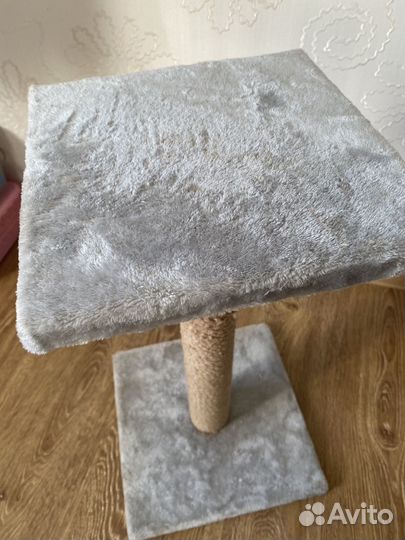 Когтеточка для кошек бу