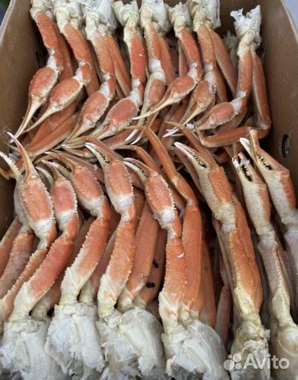 Краб стригун клешни