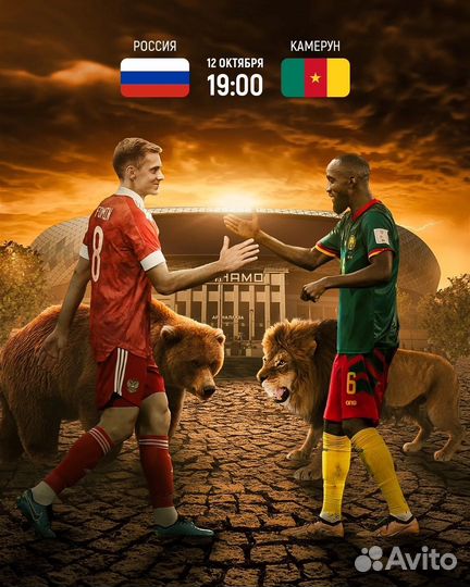 Билет на матч Россия - Камерун 12.10.2023г