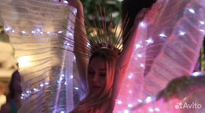 Видеограф видеосъемка