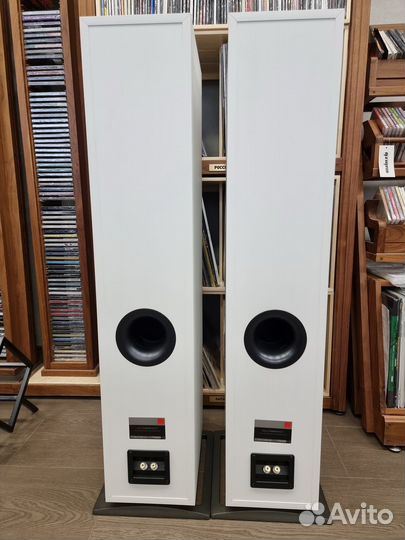 Dali Oberon 7 акустика