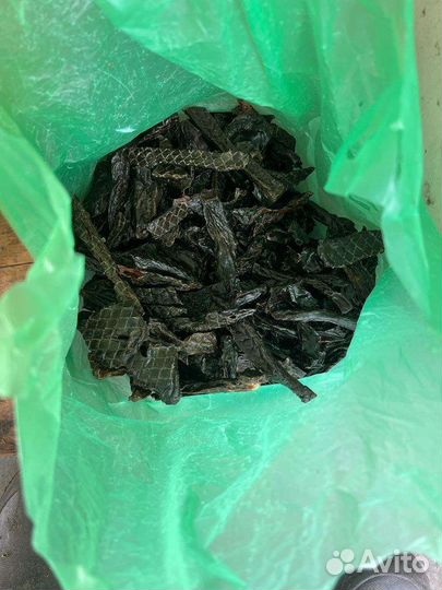 Корм для собак