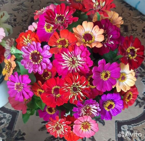 Шикарные Букеты из живых цветов