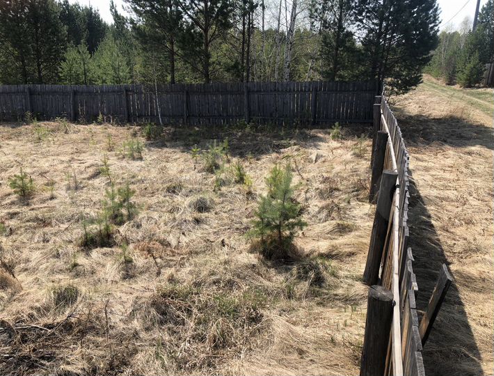 Участок 10 сот. (СНТ, ДНП)