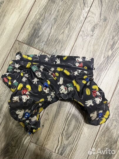 Одежда для маленьких собак