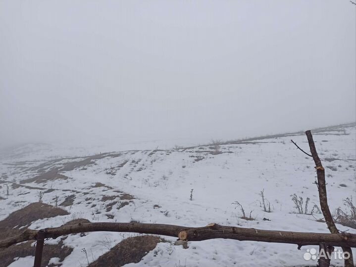 Мед Горный разнотравье 2023