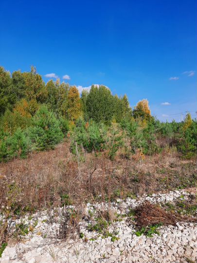 Участок 10 сот. (ИЖС)